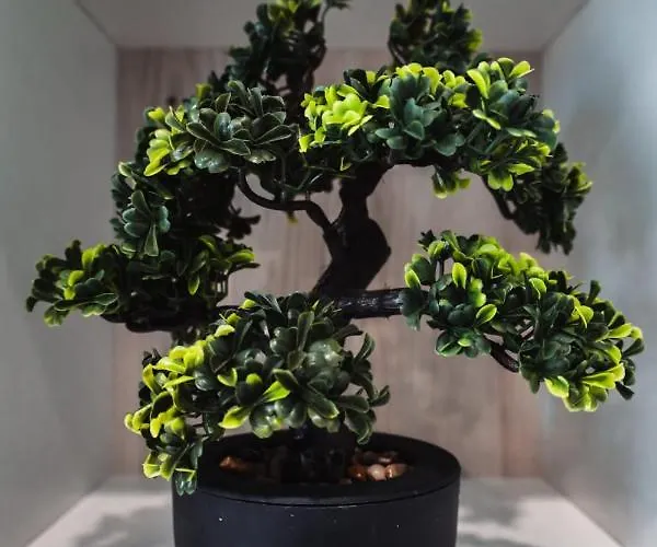 Case de vacanță Spacious Deluxe Seaside Escape *