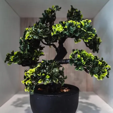 別荘 Spacious Deluxe Seaside Escape *